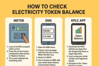 An infographic image showing How to Check Electricity Token Balance