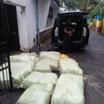 Detectives Seize Cannabis Worth KSh 8.1 Million Along Eldoret–Nakuru Highway