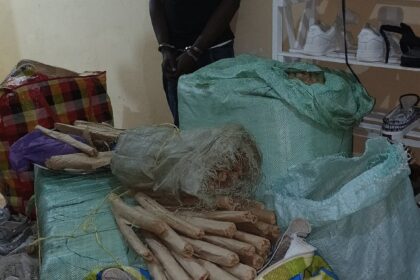 170kg of Bhang Seized in Likoni as Police Arrest Suspected Drug Trafficker