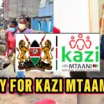 Kazi Mtaani Application: How to Apply Online, Login, Deadline & Official Links