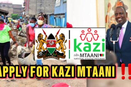 Kazi Mtaani Application: How to Apply Online, Login, Deadline & Official Links