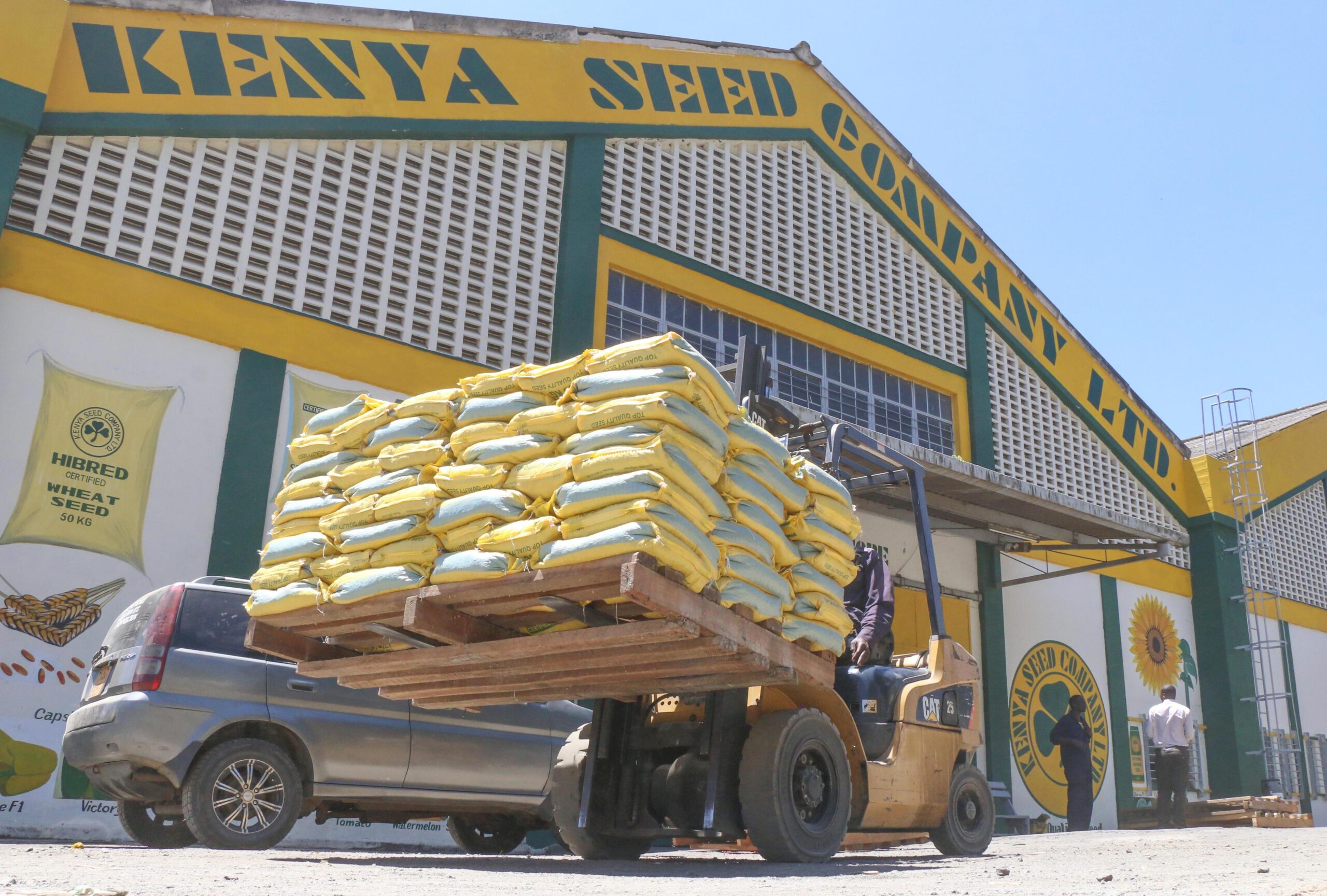 Treasury Removes Ngirici from Kenya Seed Board Amid Escalating Political Tensions